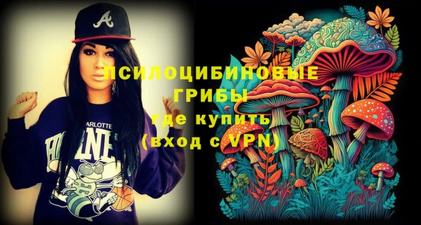 ГАЛЛЮЦИНОГЕННЫЕ ГРИБЫ Бронницы
