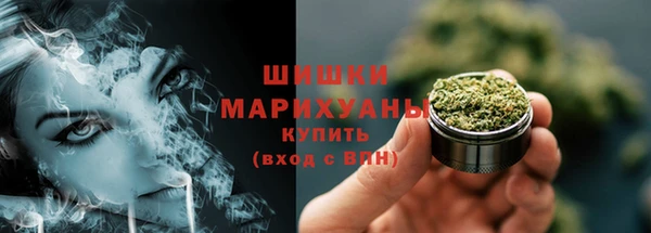 ГАЛЛЮЦИНОГЕННЫЕ ГРИБЫ Бронницы