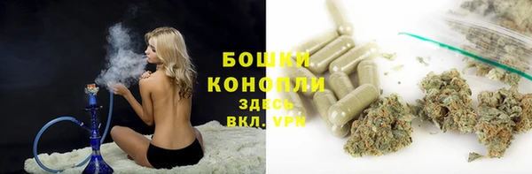 ГАЛЛЮЦИНОГЕННЫЕ ГРИБЫ Бронницы