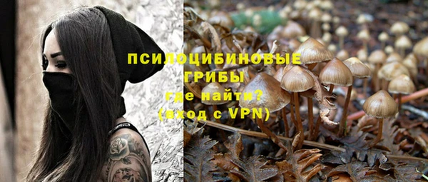 кристаллы Бородино