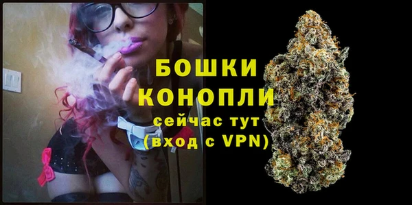 ГАЛЛЮЦИНОГЕННЫЕ ГРИБЫ Бронницы