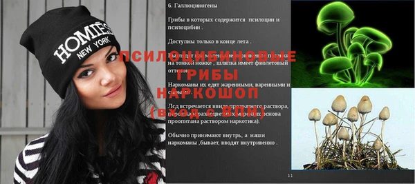 ешки Бугульма